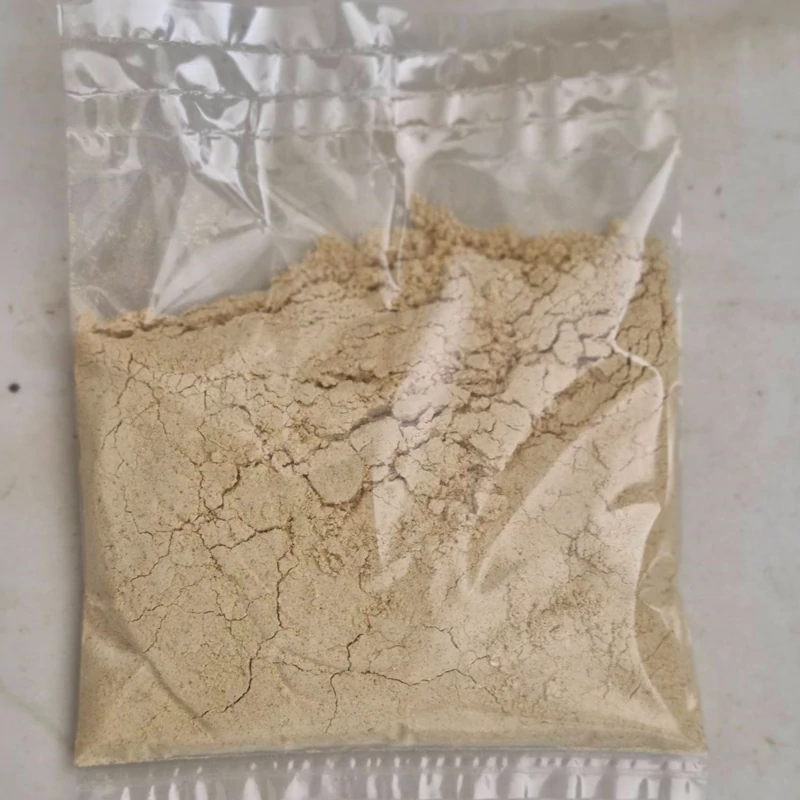 پودر زنجبیل 100 گرمی برند کایا (تازه یا ارگانیک)